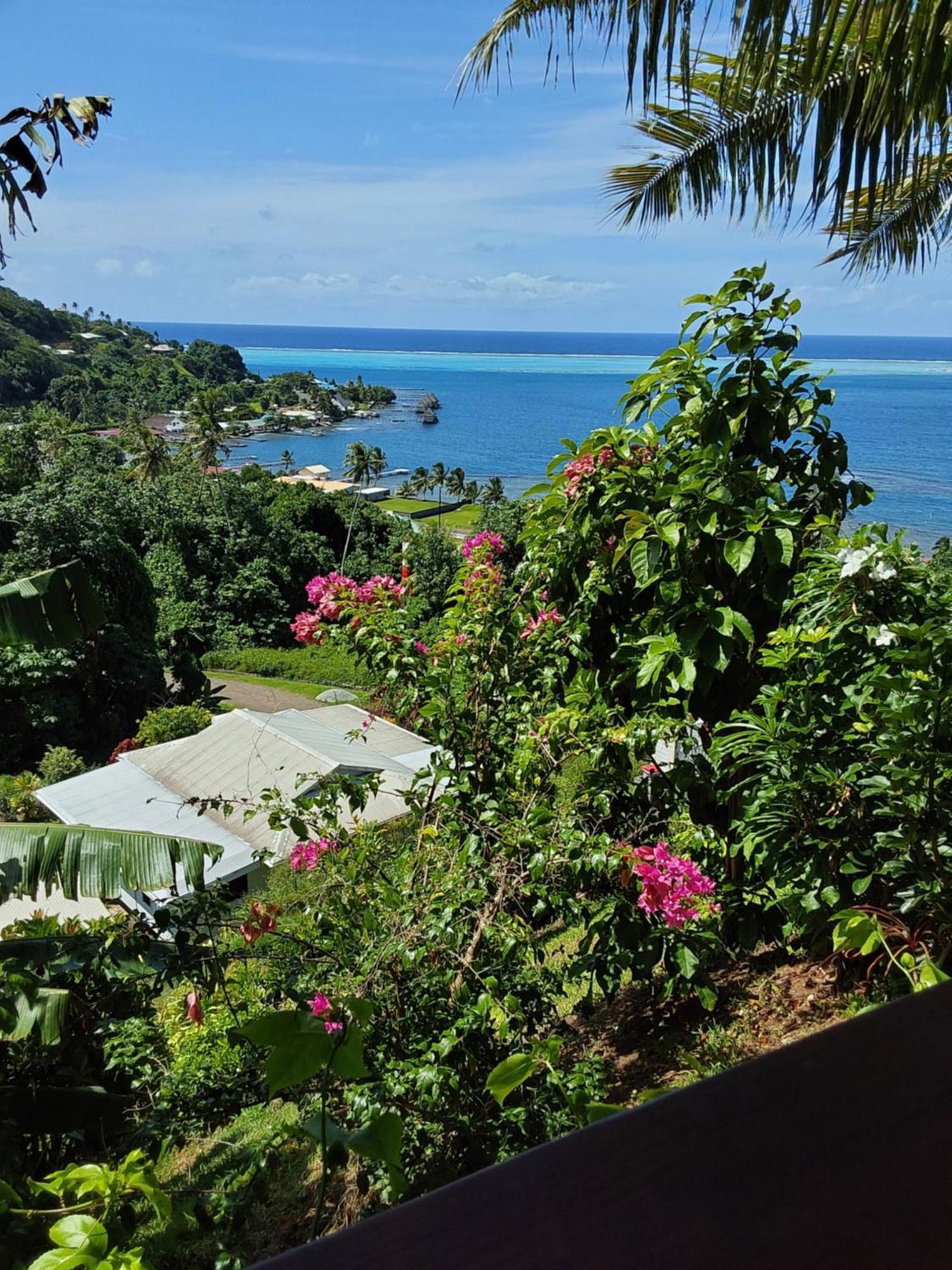 Bed and Breakfast Fare Mahi Mahi Uturoa Zewnętrze zdjęcie
